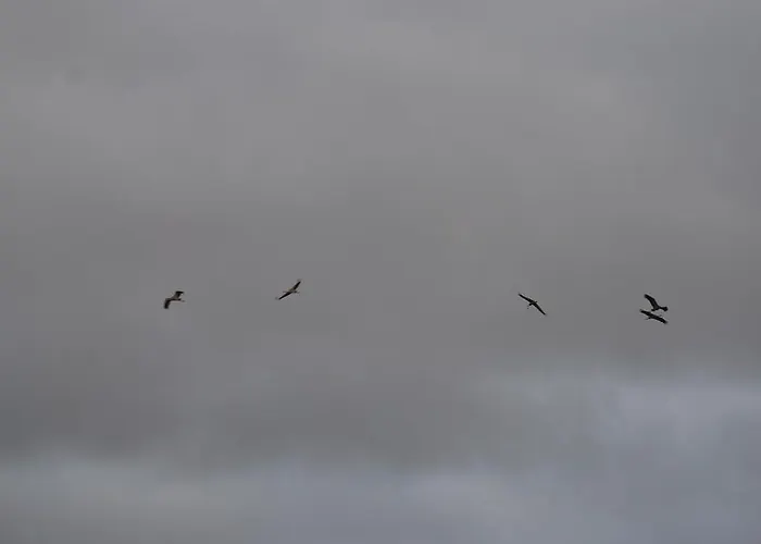 Séjour à la campagne Casa Tolosa