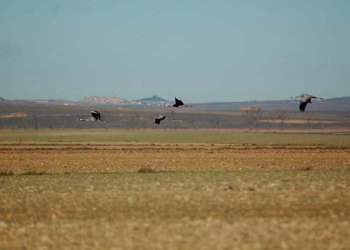 Casa Tolosa Las Cuerlas